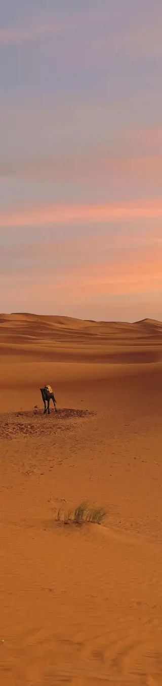 Sahara – Wüstenfeeling pur.
